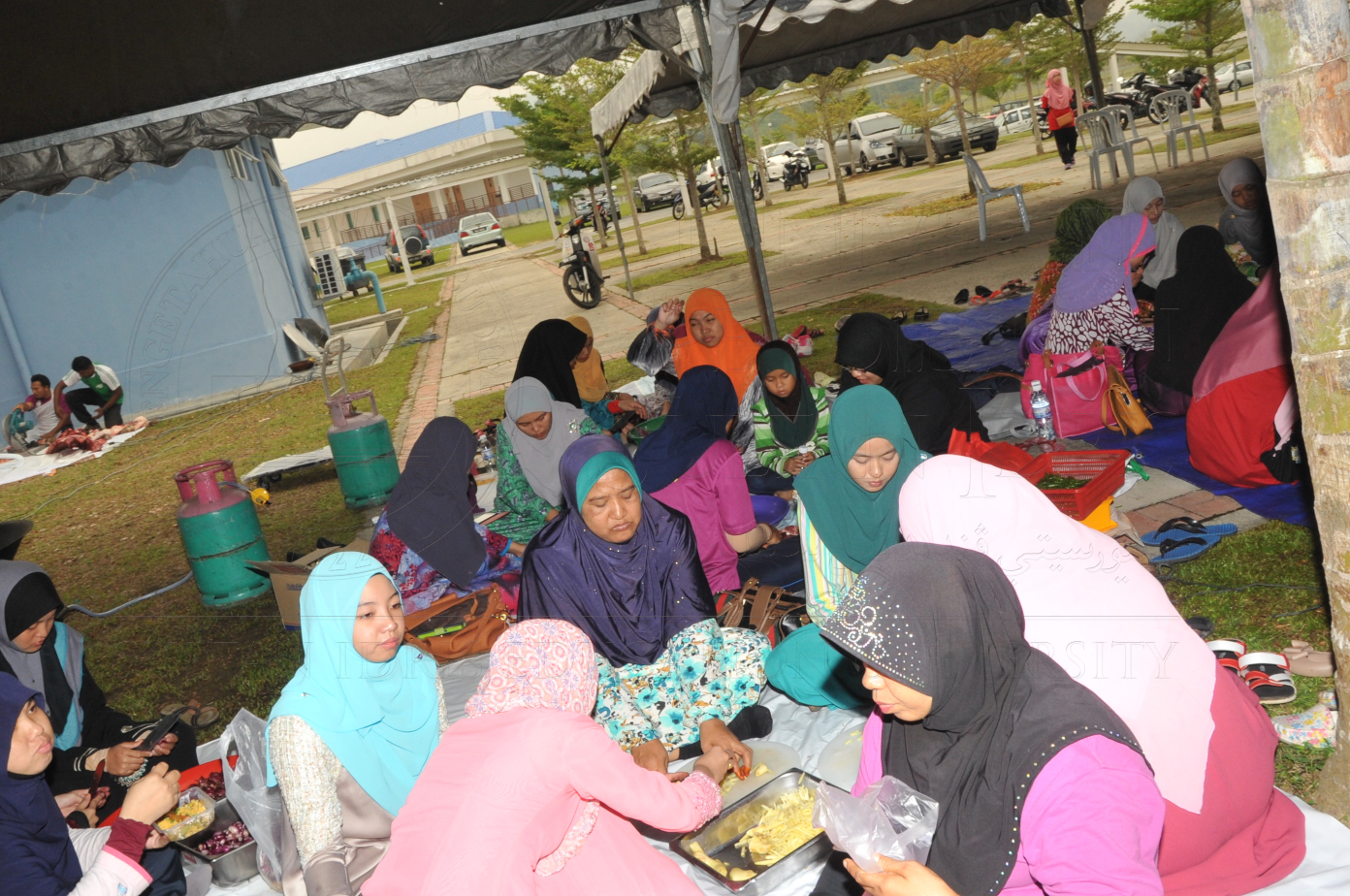 PRO15 150 KORBAN HAS 6894